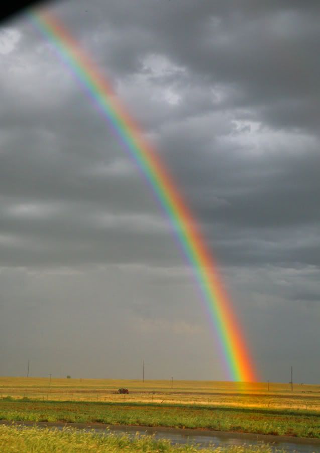 rainbowAmarillo