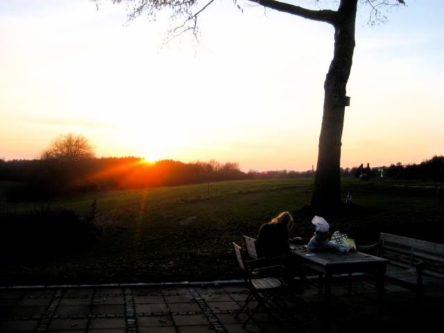 2009