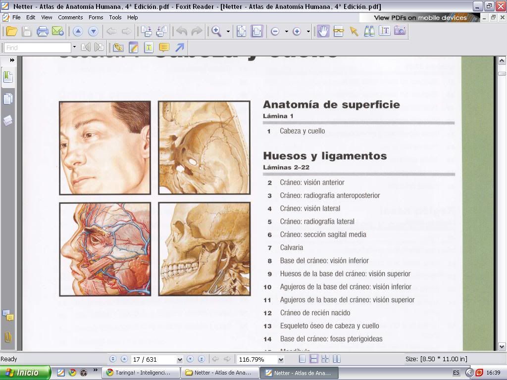Anatomia Humana Basica Pdf Gratis