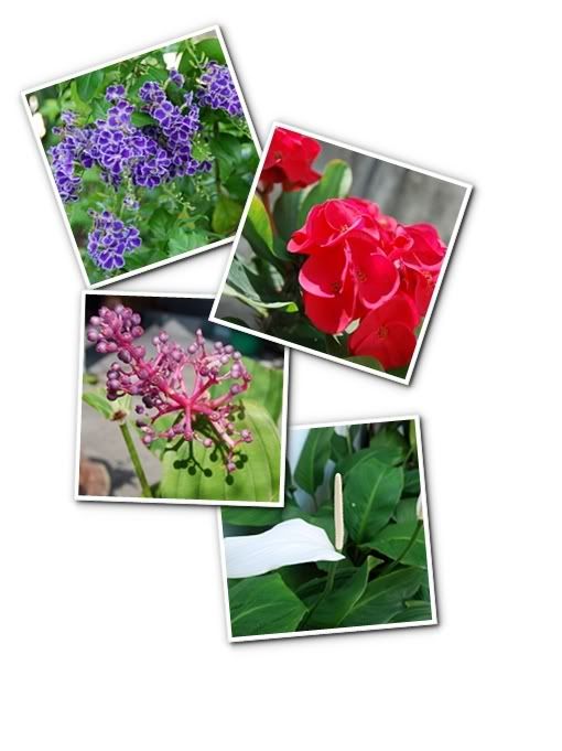 7 สิ่งมหัศจรรย์ของ ลก