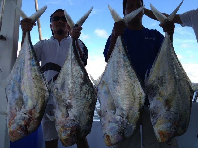http://i223.photobucket.com/albums/dd283/rickytanph/IMG_2045.jpg