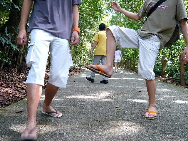 Photo Sharing and Video Hosting at Photobucket