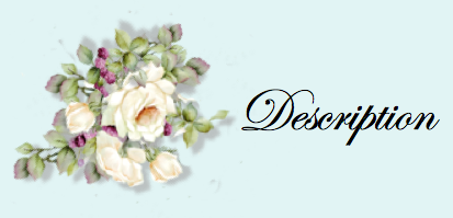 http://i223.photobucket.com/albums/dd286/crsevices/Website%20Symbols/Screenshot2012-01-01at60340PM.png