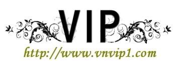 VIP-Logo877x306350x122.jpg