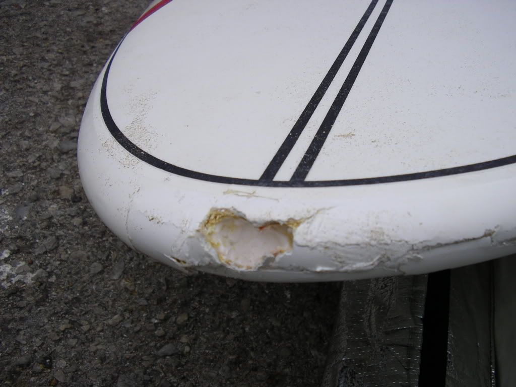 IMGP1298.jpg