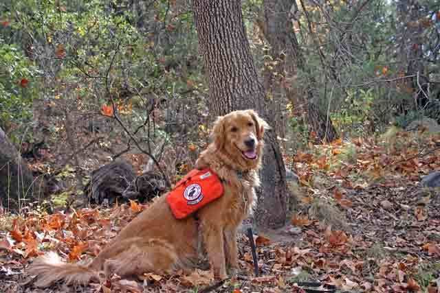 IMAGE: http://i223.photobucket.com/albums/dd296/WheelchairShooter/Charlie-0246.jpg