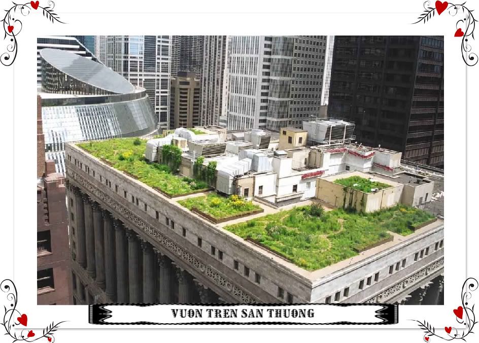 CityHall.jpg CityHall.jpg