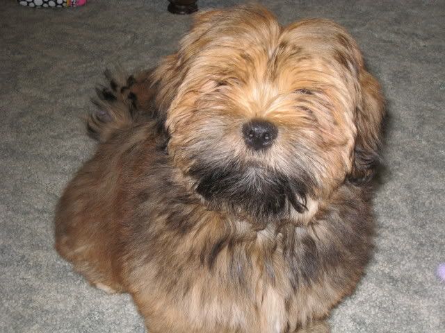 IMAGE: http://i223.photobucket.com/albums/dd307/lofton/IMG_0316.jpg