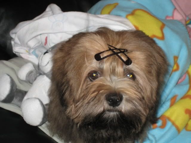 IMAGE: http://i223.photobucket.com/albums/dd307/lofton/IMG_0598.jpg