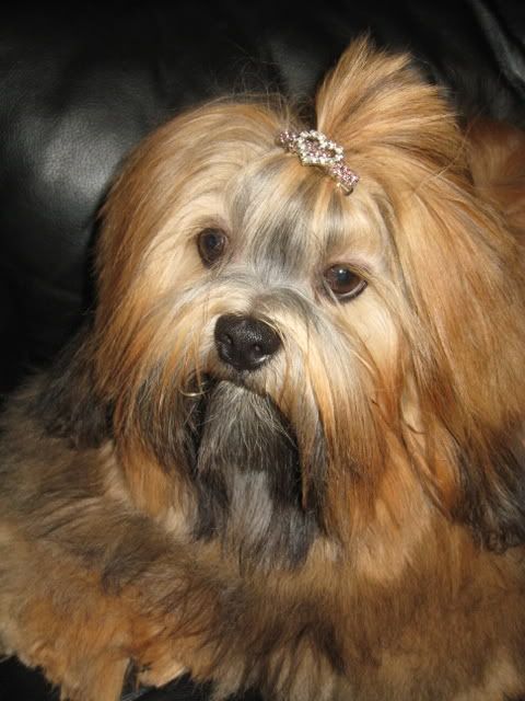 IMAGE: http://i223.photobucket.com/albums/dd307/lofton/IMG_1163.jpg