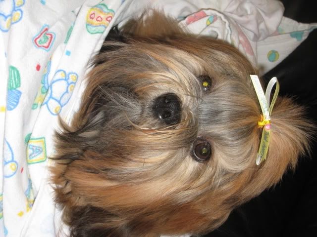 IMAGE: http://i223.photobucket.com/albums/dd307/lofton/IMG_1293.jpg