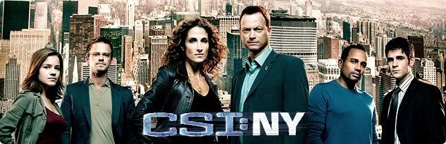 CSI New York Season 4 Episode 12 HDTV {SeCtIoN8} preview 0