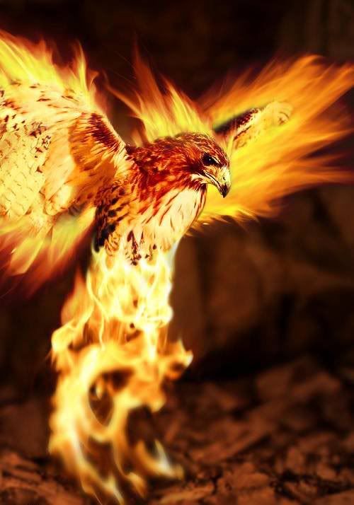 ave fenix Pictures, Images and Photos Eternal Blessings