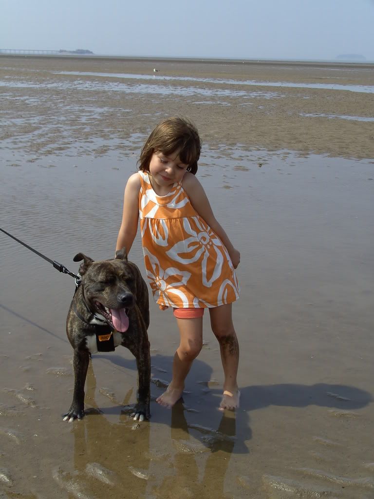 PICT2283.jpg friends on the beach image by wagglyhead