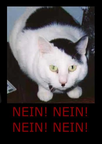 Adolf-Hitler-Cat.jpg
