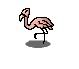 flamingopokemon.jpg
