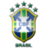 bra.png