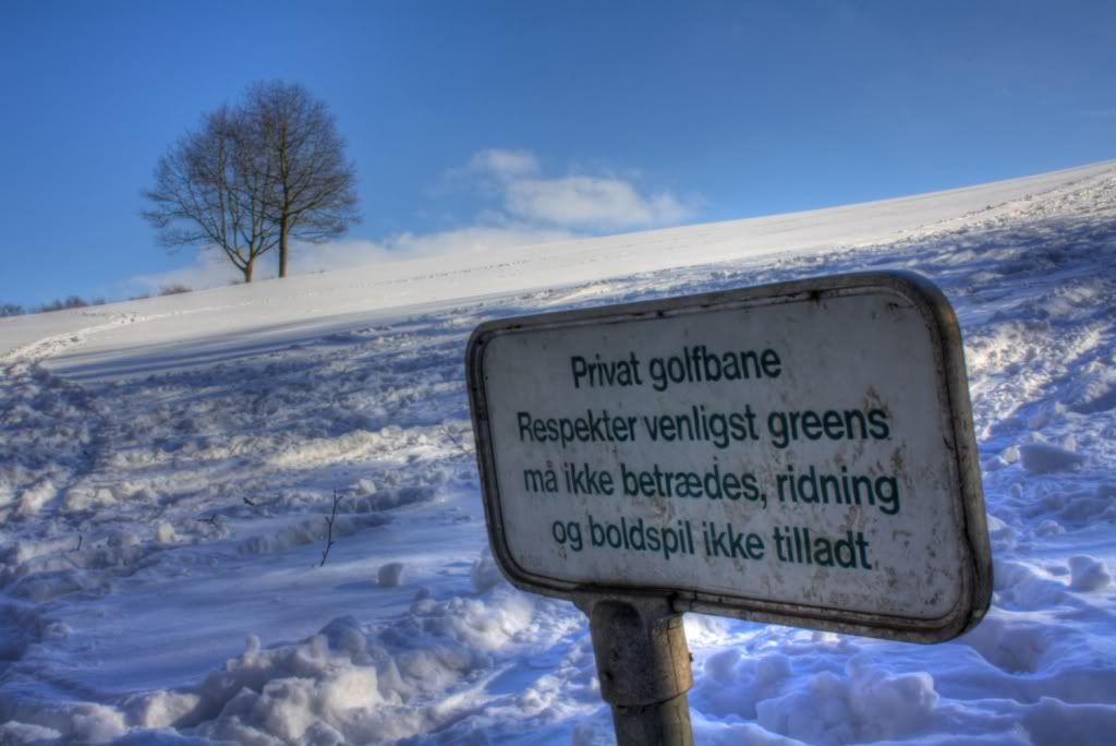 Billede