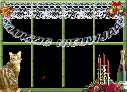 [img width=500 height=365]http://i223.photobucket.com/albums/dd95/alitenels/nieuwjaar11.gif[/img]