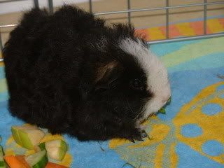 DSCF3929.jpg