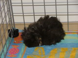 DSCF3940.jpg