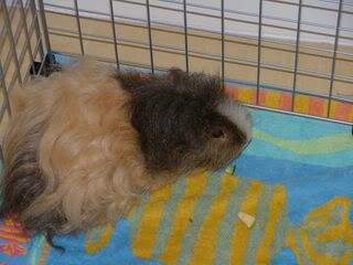 DSCF3941.jpg