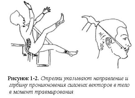 musculus trapezius