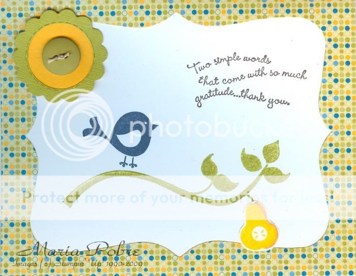 thank you photo: thank you 6a010535ad9871970c011168a103c6970c-.jpg